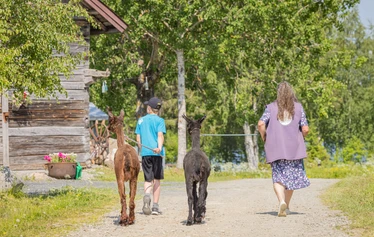 Eläinten esittely- ja hoitohetki Hanhenlennossa - Enemmän kuin pelkkä vierailu – eläinten lähelle turvallisesti ja rauhassa.