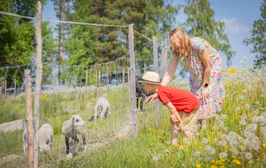 Eläinten esittely- ja hoitohetki Hanhenlennossa - Enemmän kuin pelkkä vierailu – eläinten lähelle turvallisesti ja rauhassa.