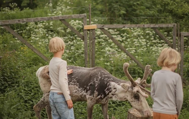 Eläinten esittely- ja hoitohetki Hanhenlennossa - Enemmän kuin pelkkä vierailu – eläinten lähelle turvallisesti ja rauhassa.