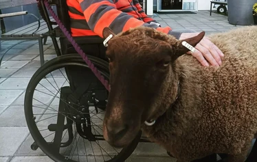 Treffit Tuiskuporon kanssa Hanhenlennossa Iisalmessa