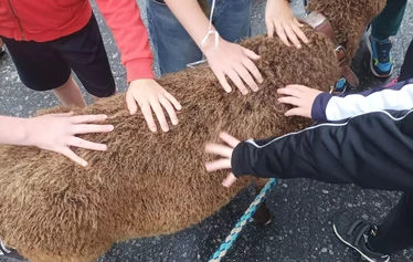 Treffit Tuiskuporon kanssa Hanhenlennossa Iisalmessa