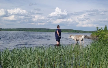 Rannastamme pääset suppailemaan vaivattomasti