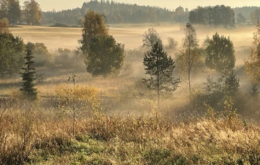 Inside Angervo