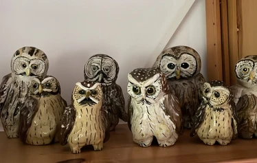 Pöllöt - Sylvin henkieläin oli ehdottomasti pöllö. Niitä löytyy galleriasta satoja. Jokaisella on oma ilmeensä.
