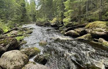 Vaalimaanjoen yläjuoksua Hauhiankosken ja Kalliokosken väliltä - Koskien välillä on upeita rauhallisia osuuksia