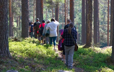 KUVA: Esko Soini / Valoisa mäntymetsä. Kuvassa yhdeksän retkeilijää kävelee rauhallisesti poispäin polku pitkin.