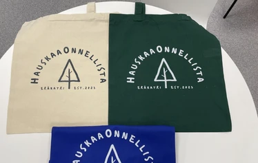 Kehä Vihreän Taidepenkki Mataraisenpuistossa Jyväskylässä.