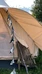 Glamping Tohmajärvi