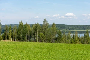 Itärajan Helmi