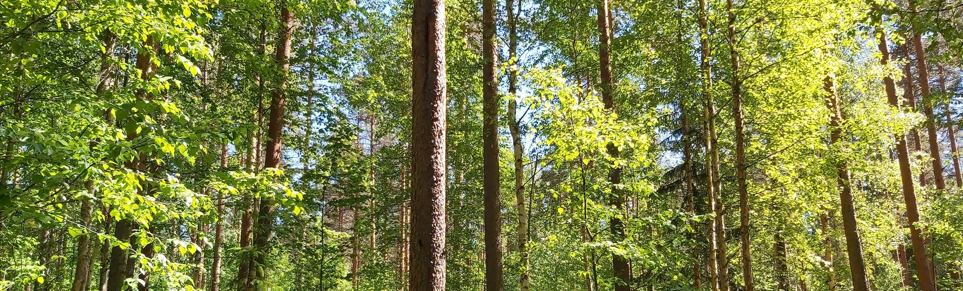 Muutamaksi tunniksi luontoon tai laavulle yöksi