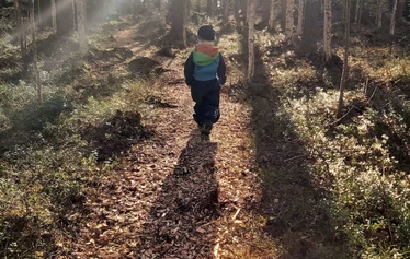 Tentsilestä on hyvät maisemat järvelle