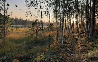 Tentsile on järven rannalla