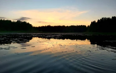 Laavu ja nuotiopaikka