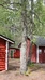 Metsähallitus' accommodation