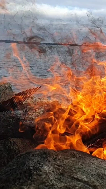Ajankohtaista juuri nyt Nuuksiossa!