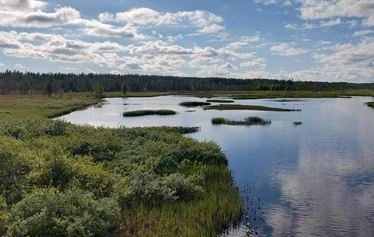 Angler catching a northern pike on a private river expedition in Molkojärvi, Lapland