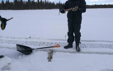 A private wood-fired sauna and an ice fishing hole on a frozen lake in Molkojärvi, Lapland