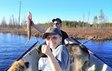 A panoramic view from Niesi Highlands followed by a private sauna and lunch in a wilderness cabin.