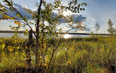 A panoramic view from Niesi Highlands followed by a private sauna and lunch in a wilderness cabin.