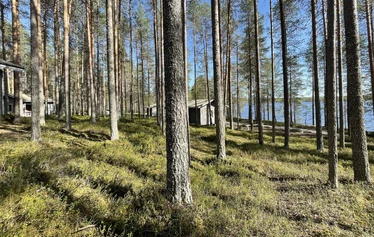 Puolukka Mökki 1 - Aurinkoisella järvinäkymällä mökki neljälle.