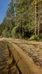 Hossa Wild Eco Camp Seipiniemi