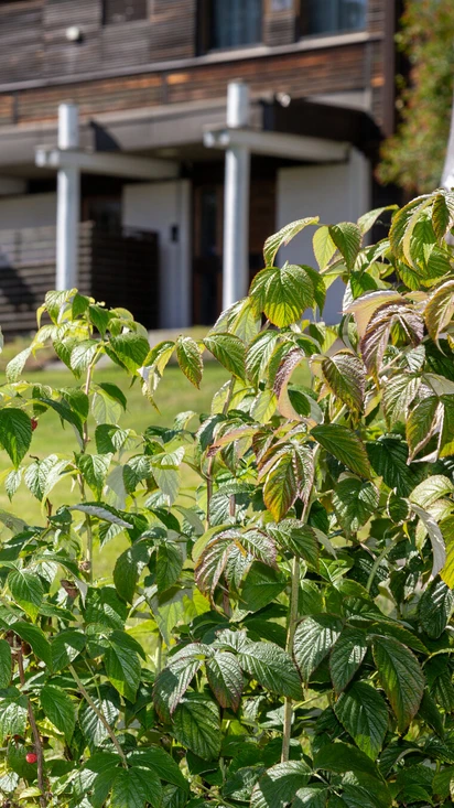 Virtuaaliesittely