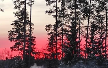 Hiisi savusauna - Hiisi savusauna on lähempänä rantaa ja siinä on lauteet kahdessa tasossa.