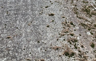 Kuva laskeutumispaikasta