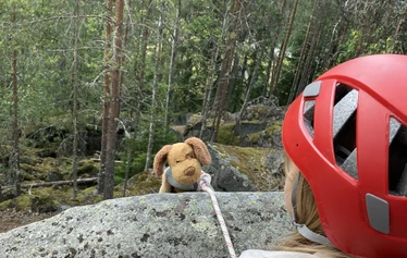 Kuva laskeutumispaikasta