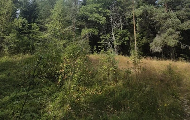 Turvallinen vene kahdeksan hengen seurueille