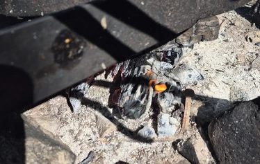 Turvallinen vene kahdeksan hengen seurueille