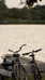IITTI BIKE