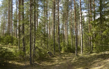 Ruokailutilasta pääsee suoraan terassille