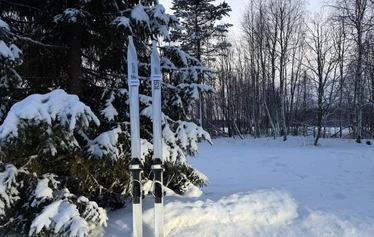 KSF Scout metsäsukset 230cm