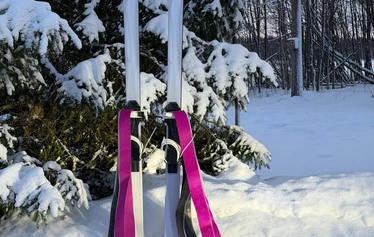 KSF Scout metsäsukset 230cm