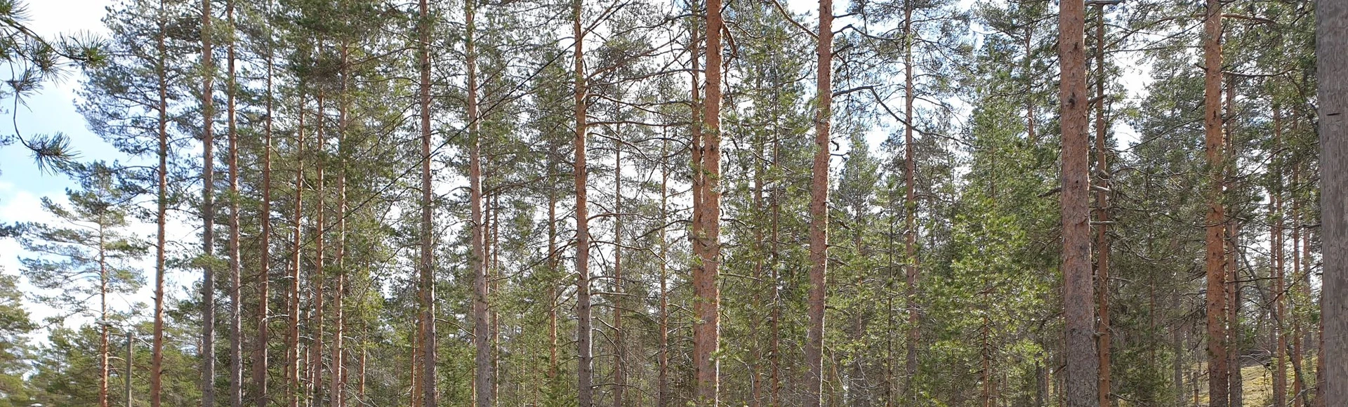 Vuokrattavat tuotteet