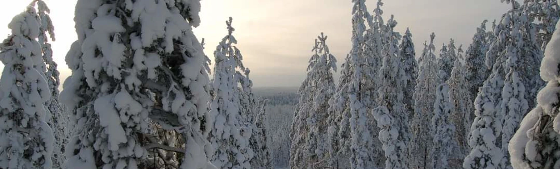 Talviloma 2022 (viikot 8 ja 9)