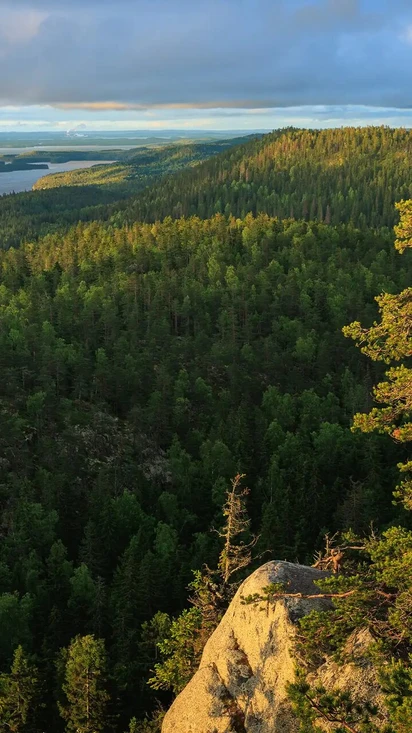 Konkretiaa, ei hypeä!