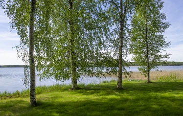 Onki-mökki neljälle - Pariskunnalle tai pienelle perheelle sopiva kahden makuuhuoneen kesämökki.