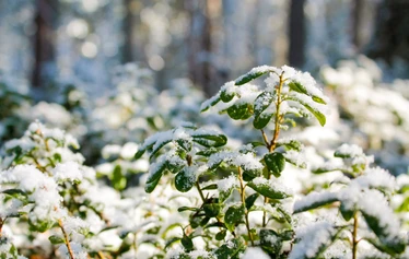 HyvänOlonRetriitti 25.-26.3.23 Jokiniemen Matkailussa - Retriitti on sinun irtiottosi arjesta ja mahdollisuus tutkia omaa sisintä. Mitä sinulle oikeasti kuuluu?