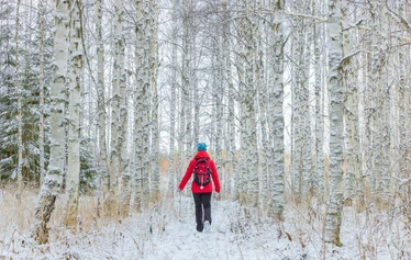 HyvänOlonRetriitti 25.-26.3.23 Jokiniemen Matkailussa - Retriitti on sinun irtiottosi arjesta ja mahdollisuus tutkia omaa sisintä. Mitä sinulle oikeasti kuuluu?