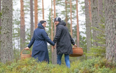 2HH Standard  - Tilava, esteetön kahden hengen huone lomatalossa. Terassilta järvinäköala.