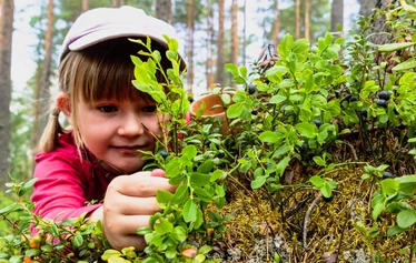 Merta-mökki viidelle - Merta-mökki on käytettävissä touko-syyskuussa kelien mukaan.