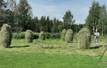 Joosulan leiriytymisalue - 6 sähköistettyä asuntovaunu/matkailuautopaikkaa