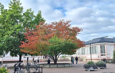 Salon rautatieasema - Kuvauspäivä: 3.10.2025
© Juurevasti juurista