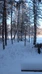 Excursions and courses