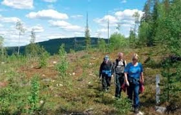 Mökkejä yhteensä 8 kpl