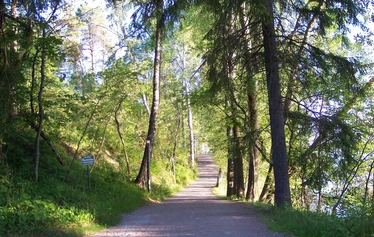 Road to Halosenniemi art museum