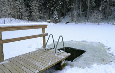 Savusauna on metsän laidassa, lammen rannalla