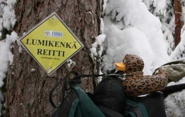 Snowshoe run at lake Bodom